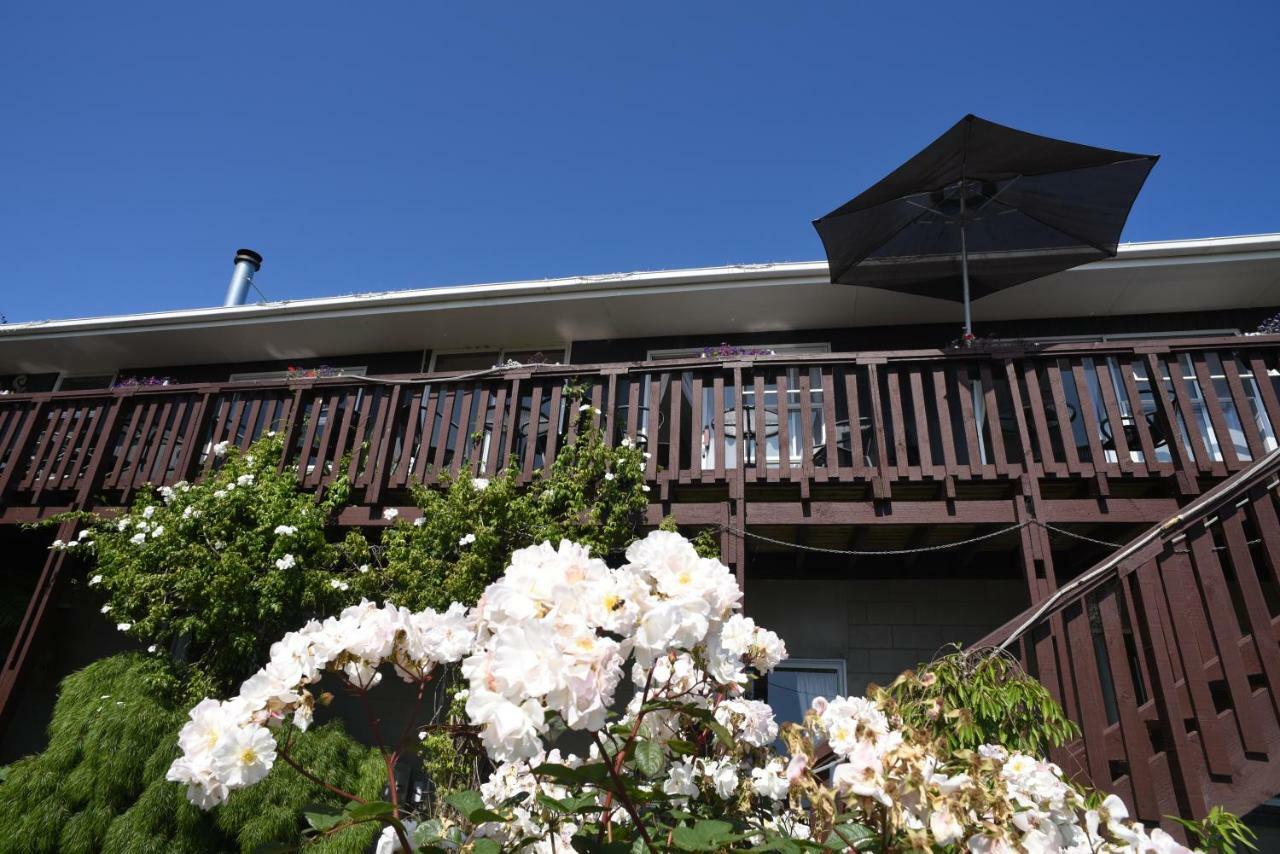 布鲁克小屋住宿加早餐旅馆 凯库拉 外观 照片